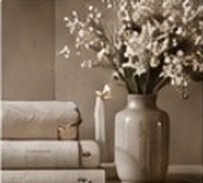 Vase de fleurs et coussins